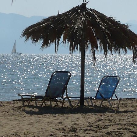 Sweet Dreams Aparthotel Kavos Exterior photo